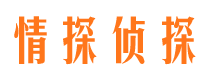 正安婚外情调查